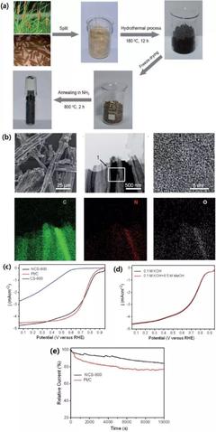 中科大俞漢青EES綜述:生物碳基材料在能量儲存與轉換中的應用