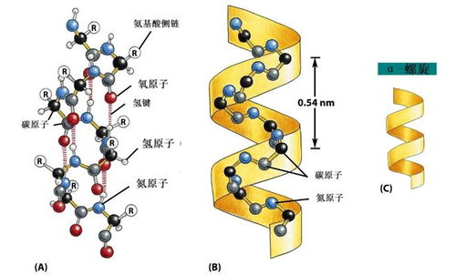 原來曬被子有很多誤區(qū),不注意就白曬了 最后一個(gè)你有沒有犯過